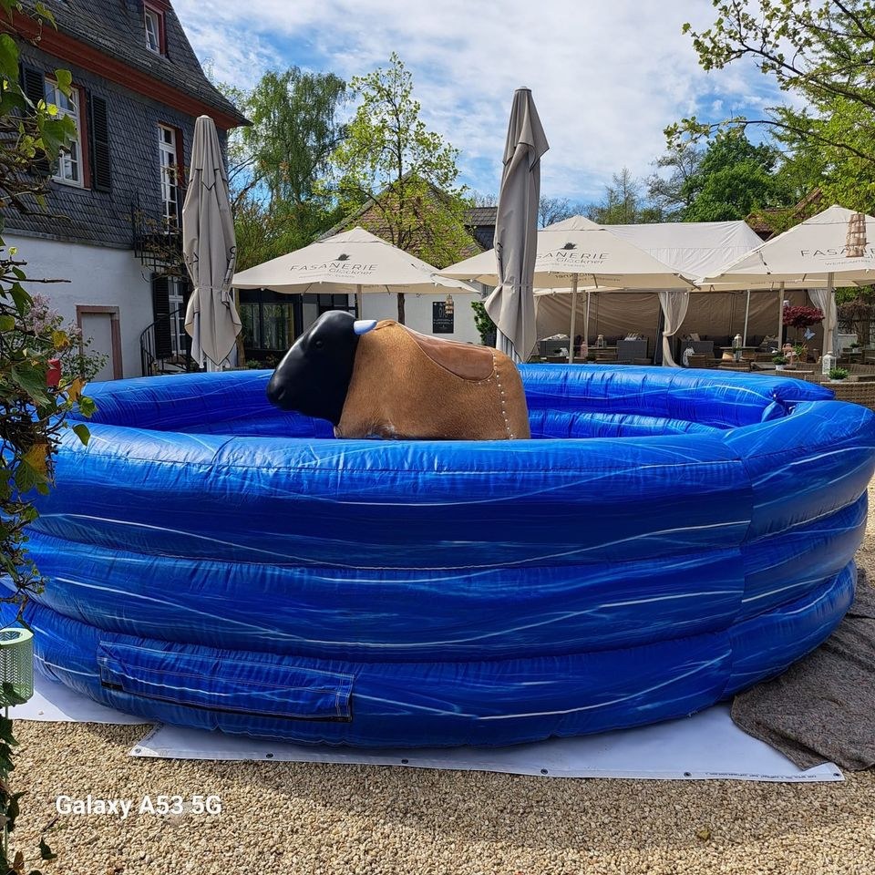 Bullriding Rodeo Anlage Bullen reiten Hüpfburg mieten in Bad Vilbel