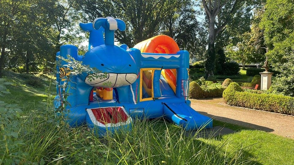 Hüpfburg Wal Kinder mieten in Bad Vilbel – Hüpfspaß für jede Feier – 2