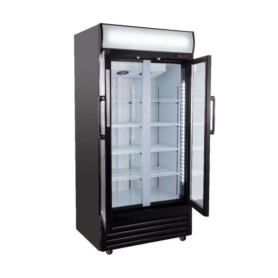 Getränkekühlschrank XXL LED Kühlschrank 630L mieten bei MMP-Rent – 2