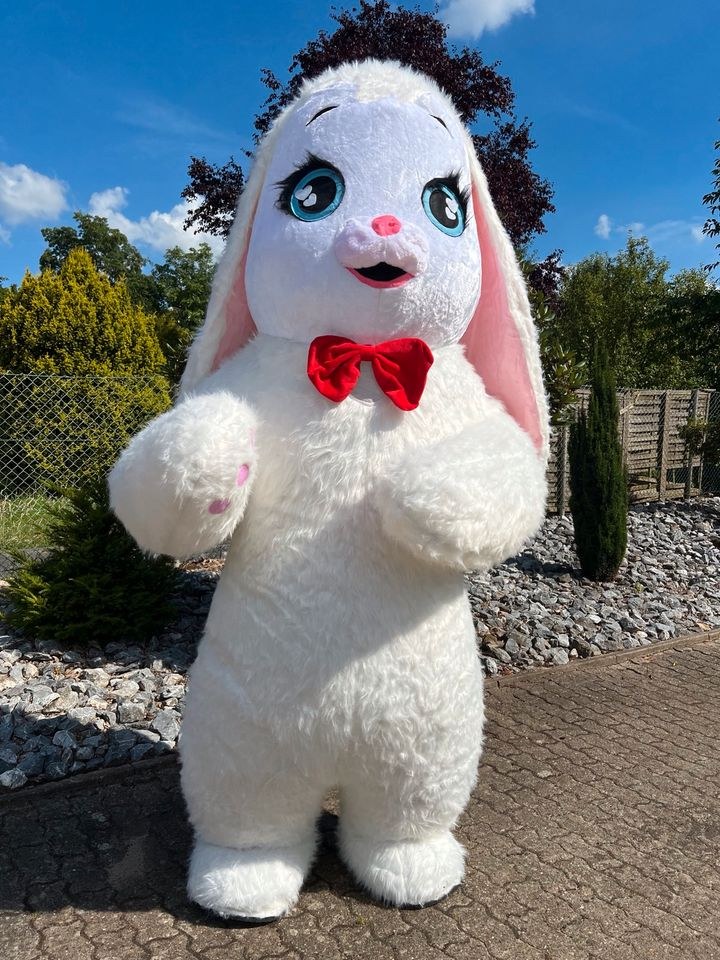 Aufblasbares Kostüm Hase заяц Tanz Animation mieten – 2