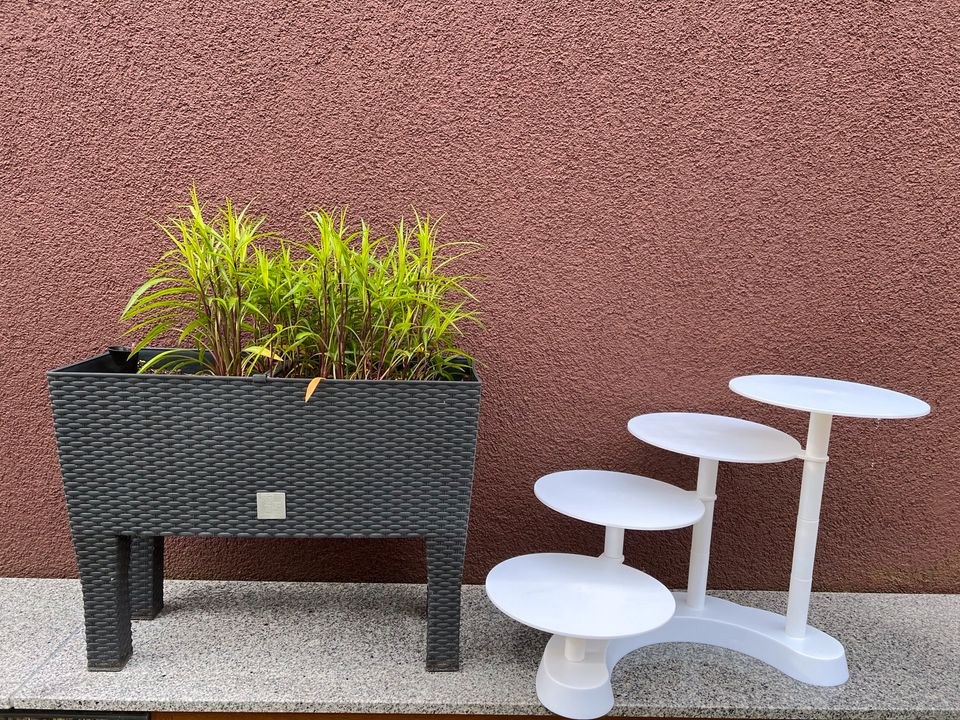 Tortenetagere Etagere Treppe Tortenständer mieten bei Party DJ Fabrik" – 4