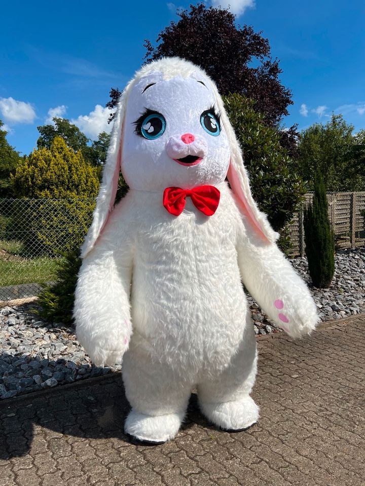Aufblasbares Kostüm Hase заяц Tanz Animation mieten – 4