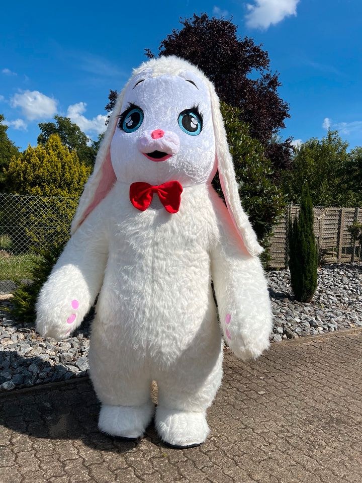 Aufblasbares Kostüm Hase заяц Tanz Animation mieten