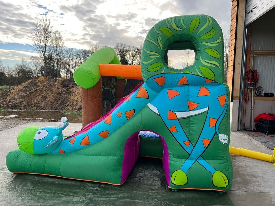 Hüpfburg Dino mieten in Senne – Hüpfspaß für jede Feier – 2