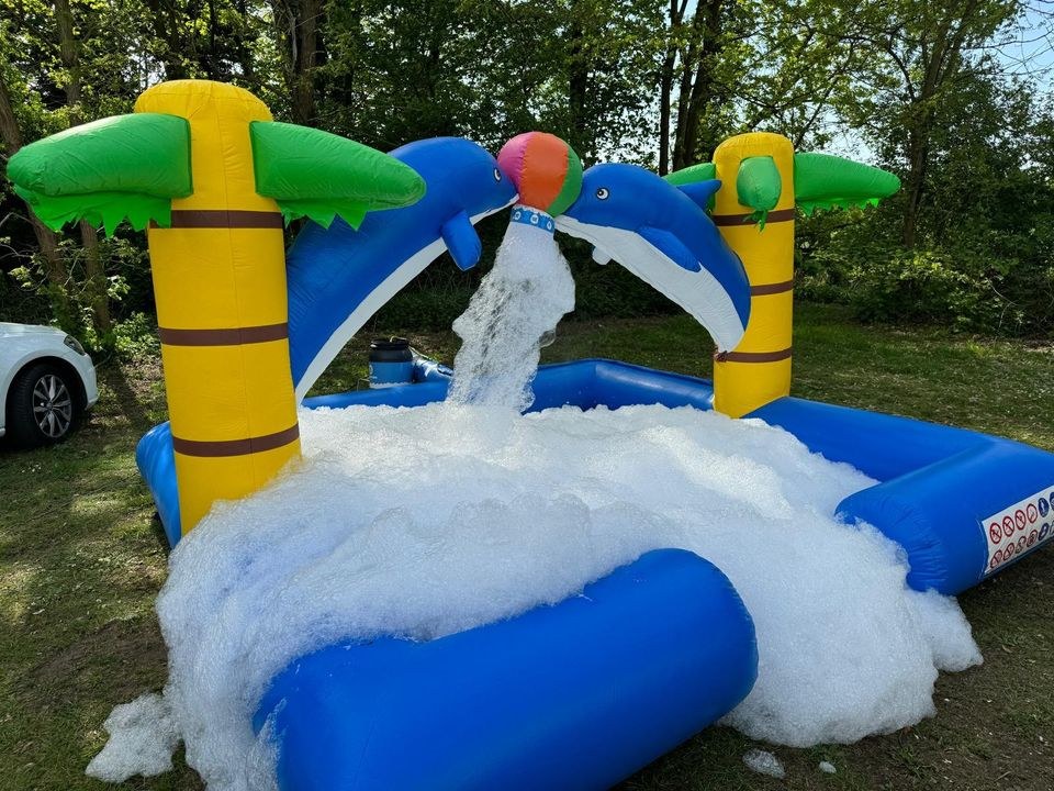 Wasser Hüpfburg Delfin bubble park mieten in Senne – 4