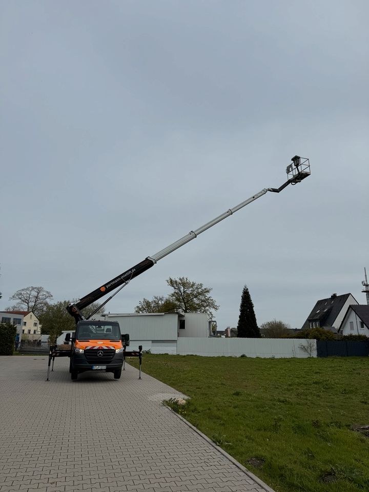 STEIGER N Ruthmann TBR230 23m Höhe Korbarm mieten in Rheda-Wiedenbrück – 2
