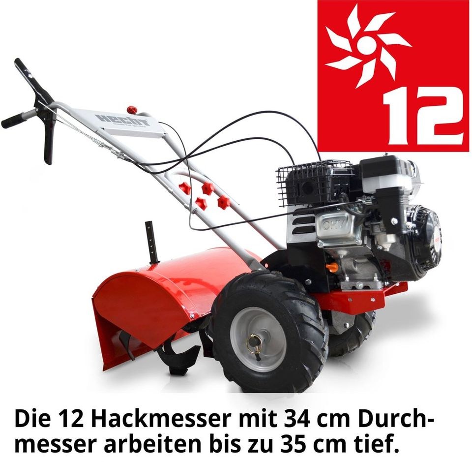 Gartefräse Gartenhacke Hecht 750 mieten in Gosen-Neu Zittau – 3