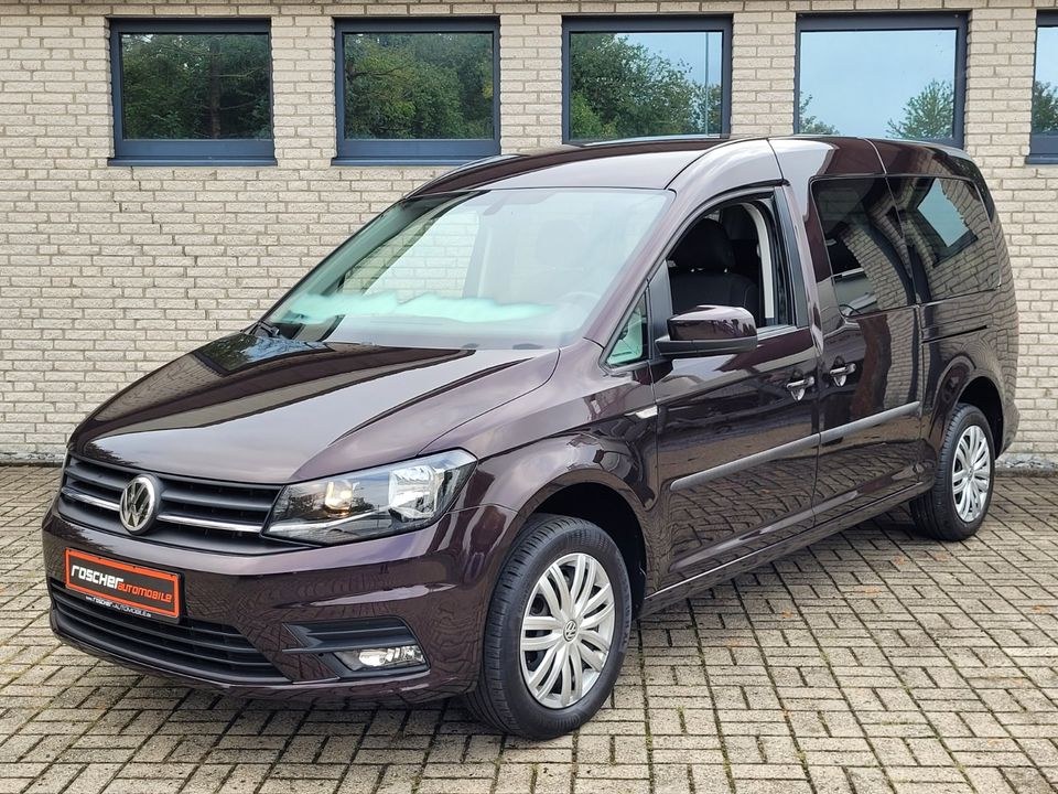 Behindertengerechtes Auto Rollstuhl Fahrzeug mieten bei Roscher4Rent – 2
