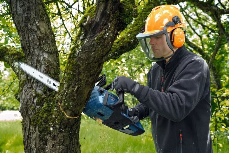 BOSCH GKE 18V 40 PRO Akku Kettensäge mieten bei Schwarz Mietpark – 4