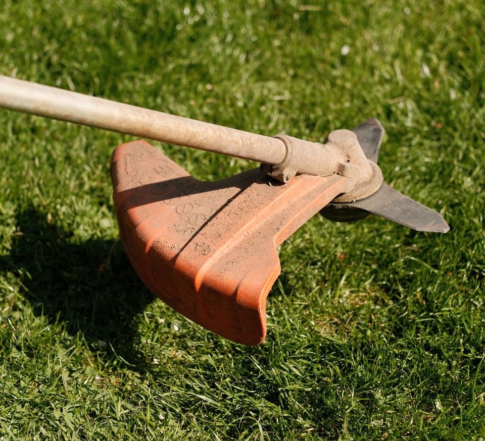 Freischneider mieten bei Bucchianico – für Garten & Grundstück – 2