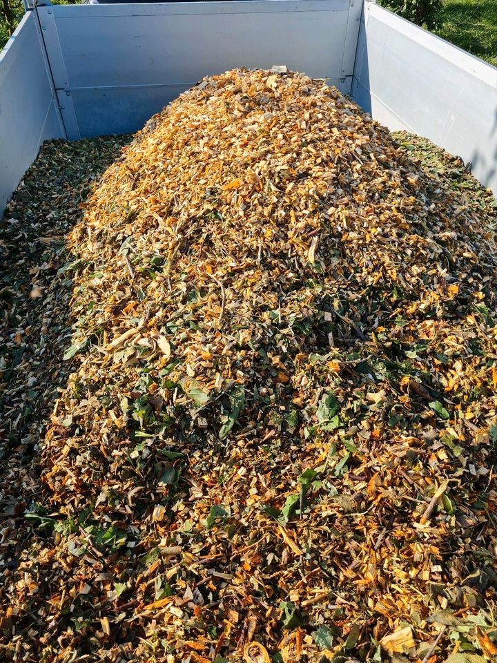 Holzhäcksler Arborist 130 mieten bei S. M. Mietservice – 4