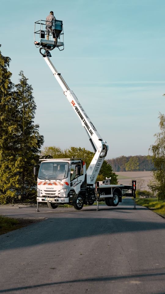 Arbeitsbühne Oil Steel Scorpion 16 pro mieten bei SE Design – 4