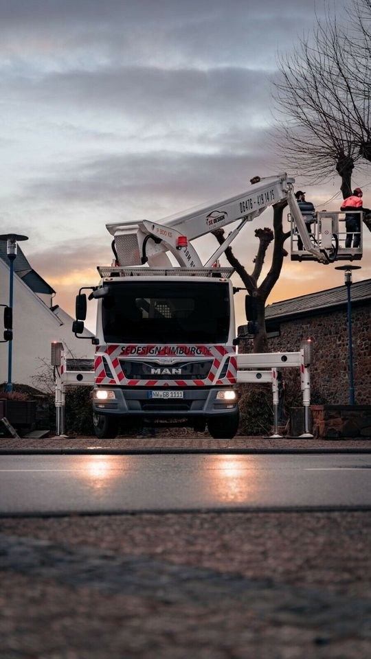 Hubsteiger Arbeitsbühne Steiger 30m 7,5t LKW mieten bei SE Design