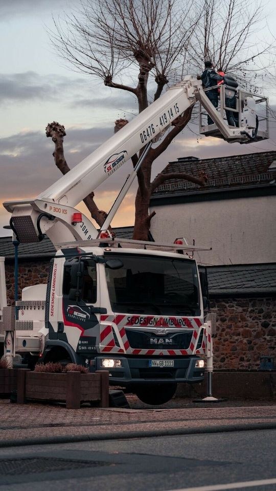 Hubsteiger Arbeitsbühne Steiger 30m 7,5t LKW mieten bei SE Design – 3