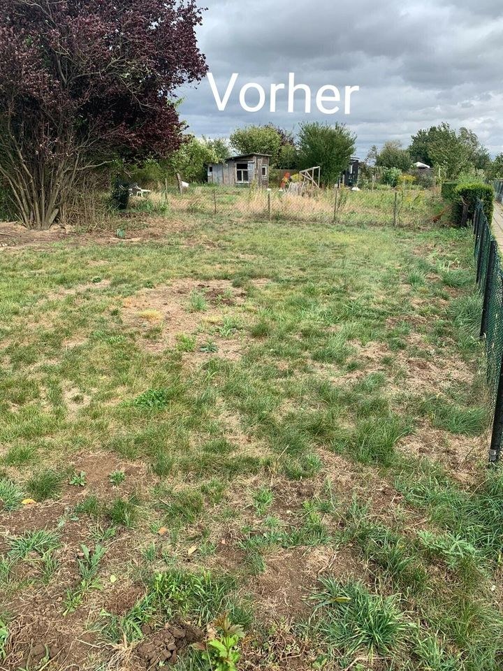 Gartenfräse Bodenfräse Motorhacke mieten bei SW-Verleih – 3