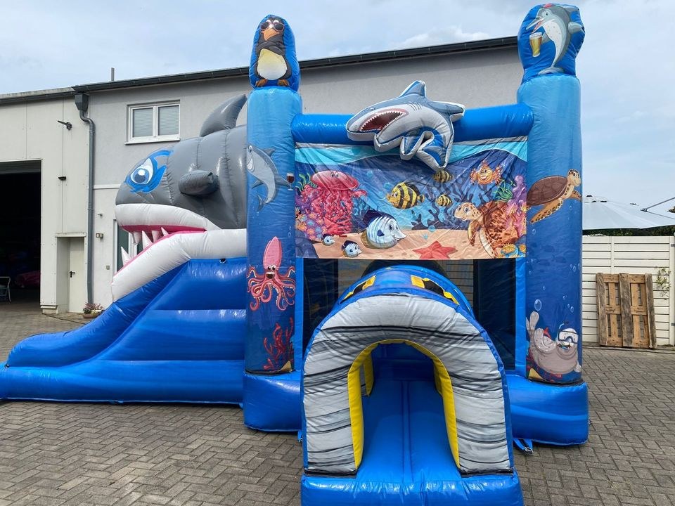 Hai Hüpfburg Donnerstag Montag mieten bei Spielpunkt