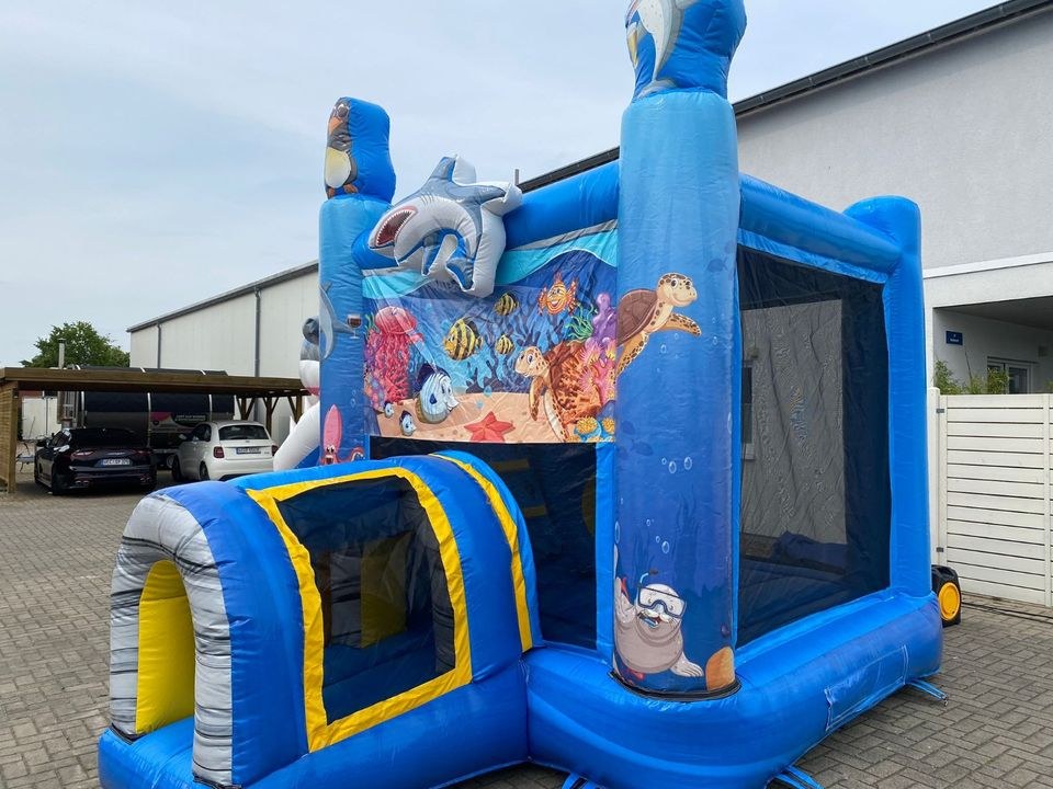 Hai Hüpfburg Donnerstag Montag mieten bei Spielpunkt – 2