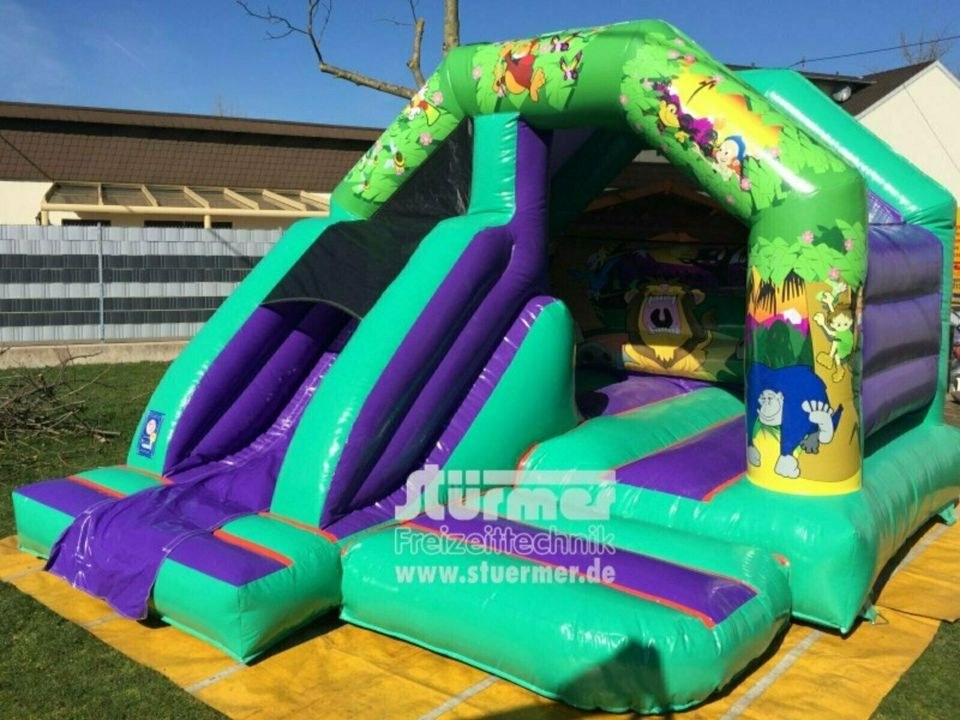 Profi Hüpfburg Hit Kindergeburtstag mieten bei Stürmer Freizeittechnik – 3