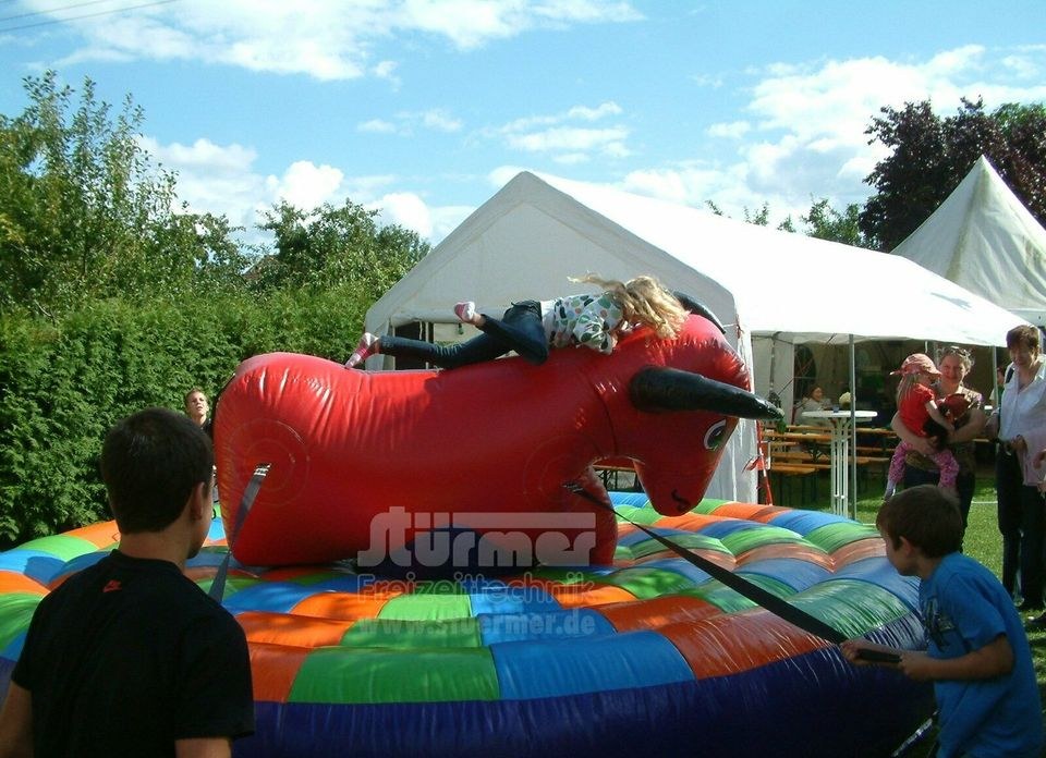 PullBull Kinder Bullenreiten Partyspaß wie mieten in Saarwellingen – 2
