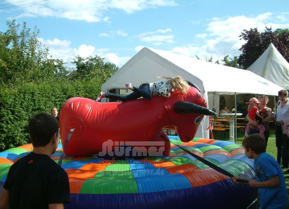 Dino Riding Muskelfraft Rodeo Pull mieten bei Stürmer Freizeittechnik – 4