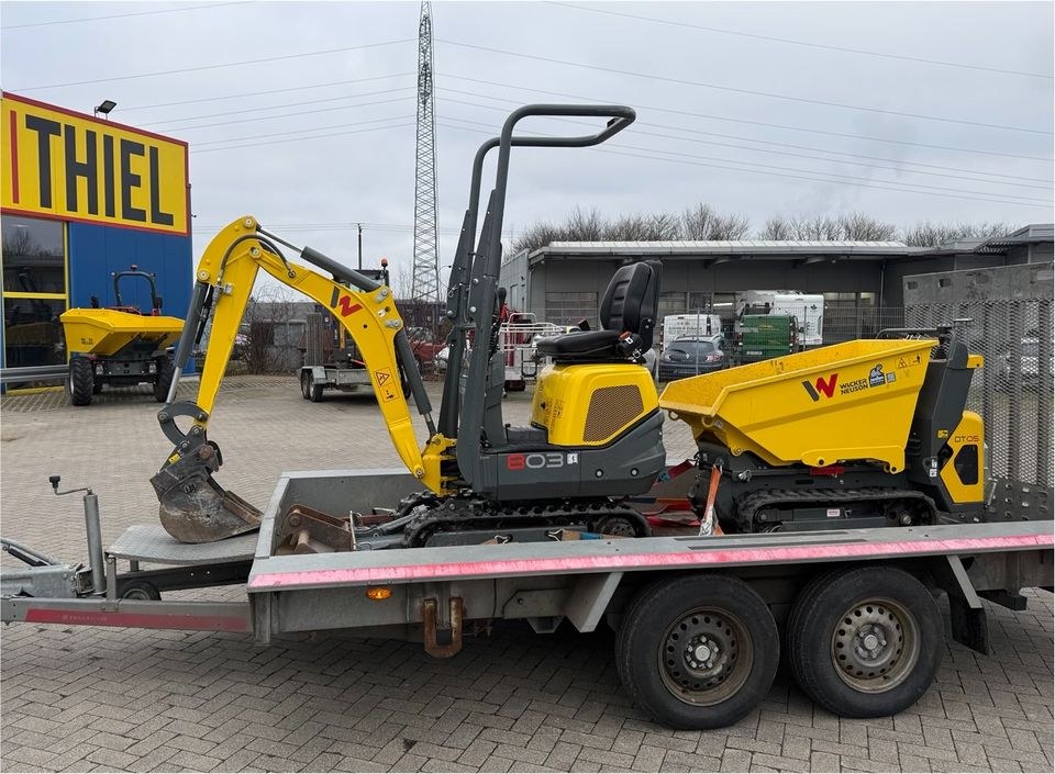 Wacker Dumper DT05 Minidumper Frontkippmulde mieten in Kamp-Lintfort – 2