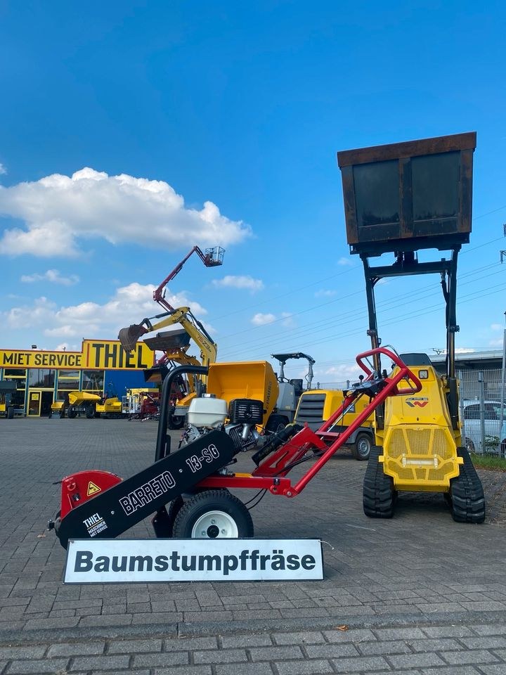 Profi Baumstumpffräse Stubbenfräse mieten in Kamp-Lintfort – 3