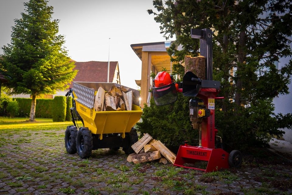 6 Tonnen holzspalter Wippkreissäge Kreis säge mieten in Illertissen – 3