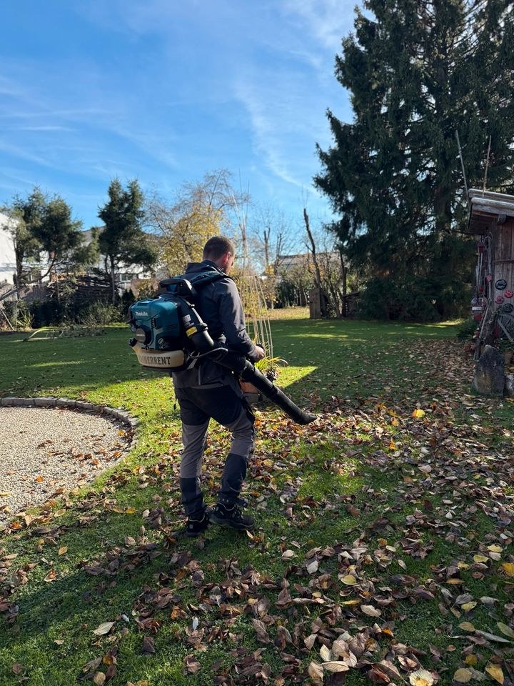 Laubgebläse Benzingebläser Rucksackbläser mieten in Illertissen – 3