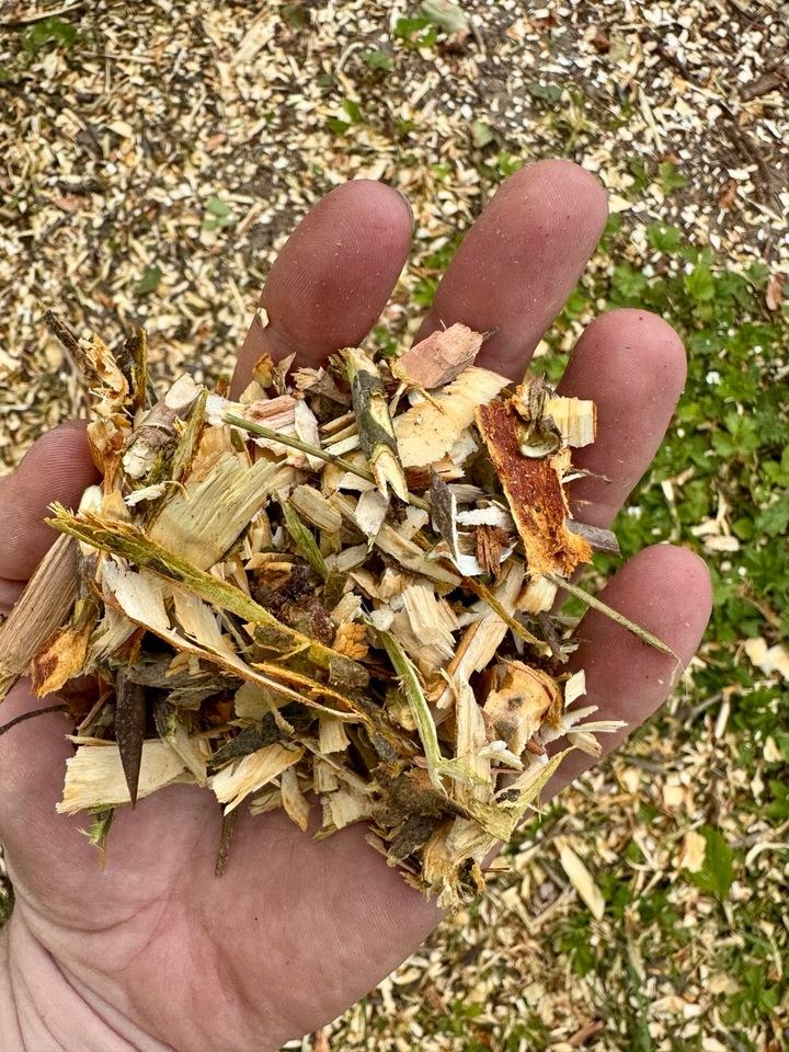 Gartenhäcksler Häcksler Benzinhäcksler mieten in Illertissen – 4
