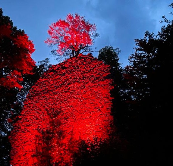 APELIGHT MAXI Led Licht Beleuchtung Labs mieten in Kirchzarten – 3