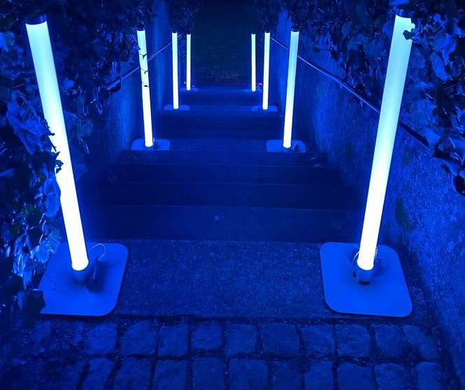 Ape Labs Apecoin Tube Effektlicht LED mieten in Kirchzarten – 3