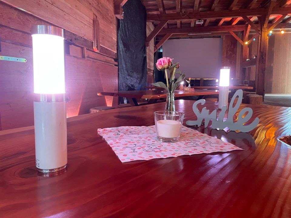 Ape Labs TABLELIGHT Effektlicht Deko mieten in Kirchzarten