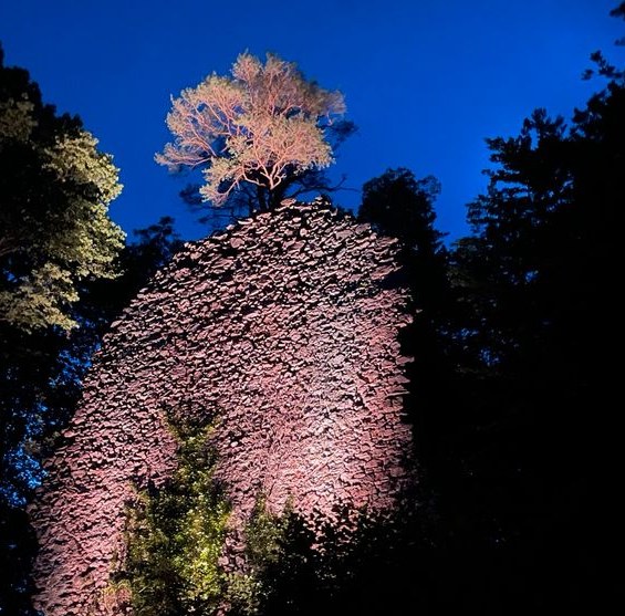 APELIGHT MAXI Led Licht Beleuchtung Labs mieten in Kirchzarten – 2