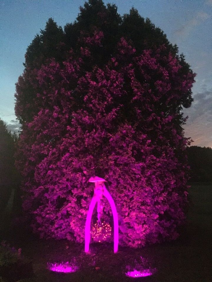 RGB Fluter Strahler LED Partylicht mieten in Kirchzarten – 2