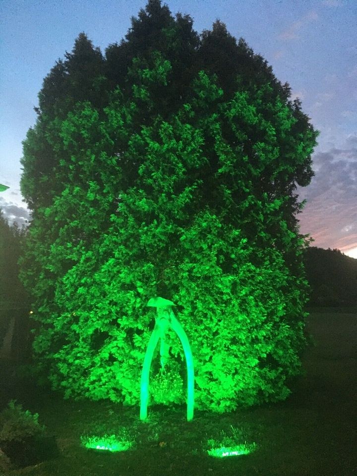 RGB Fluter Strahler LED Partylicht mieten in Kirchzarten – 4