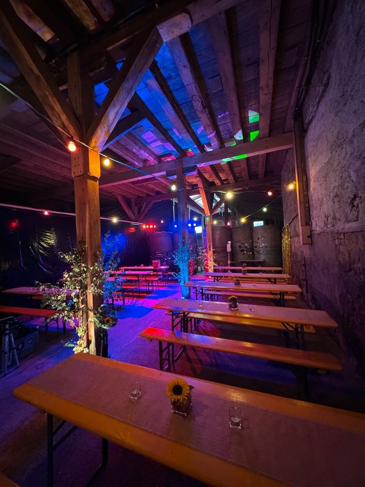 LED Licht Ambiente Ape Labs Deko mieten in Kirchzarten – 3