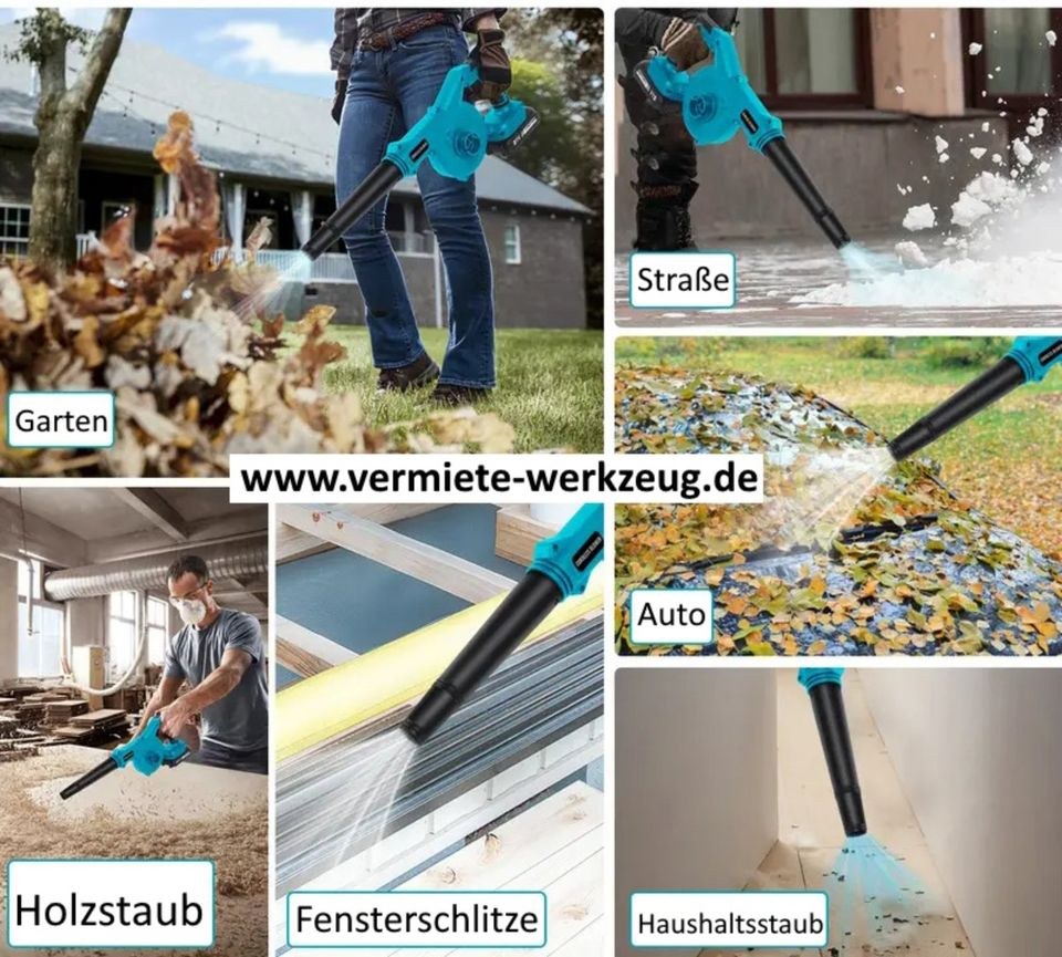 Laubbläser Akku Makita Blätter Staub Äste Haare mieten – 4
