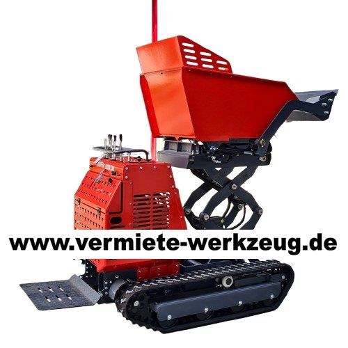 Dumper Selbstlader Hochkipper Kette Raupe Mulden mieten – 2