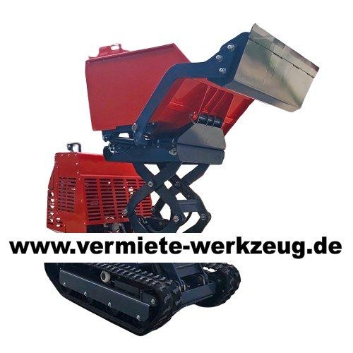 Dumper Selbstlader Hochkipper Kette Raupe Mulden mieten – 3