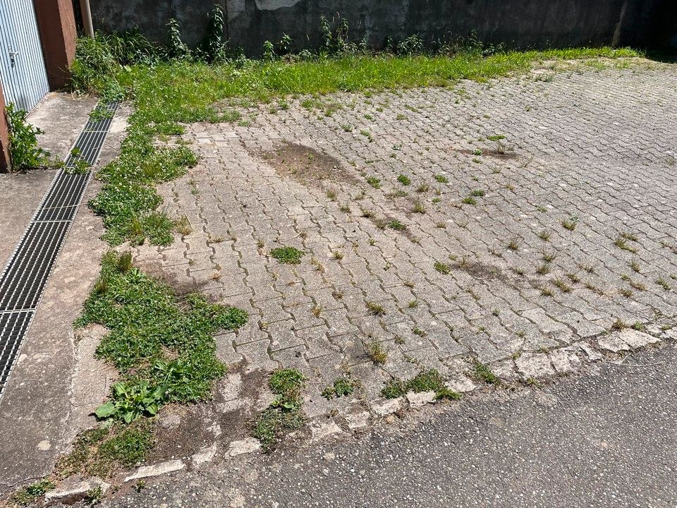 AS WeedHex Wildkrautbürste Unkrautbürste mieten in Kernen im Remstal – 3