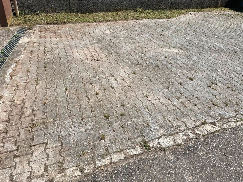 AS WeedHex Wildkrautbürste Unkrautbürste mieten in Kernen im Remstal – 4