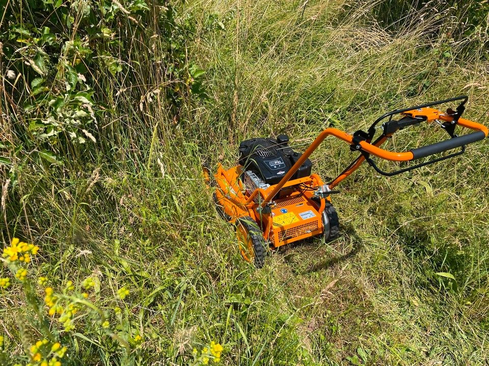 AS 510 ProClip Mulch Rasenmäher Grasmäher mieten in Kernen im Remstal – 4