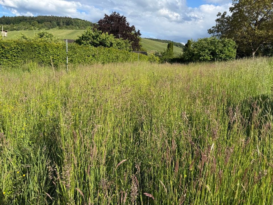 Agria Balkenmäher Hochgrasmäher Wiesenmäher mieten – 4