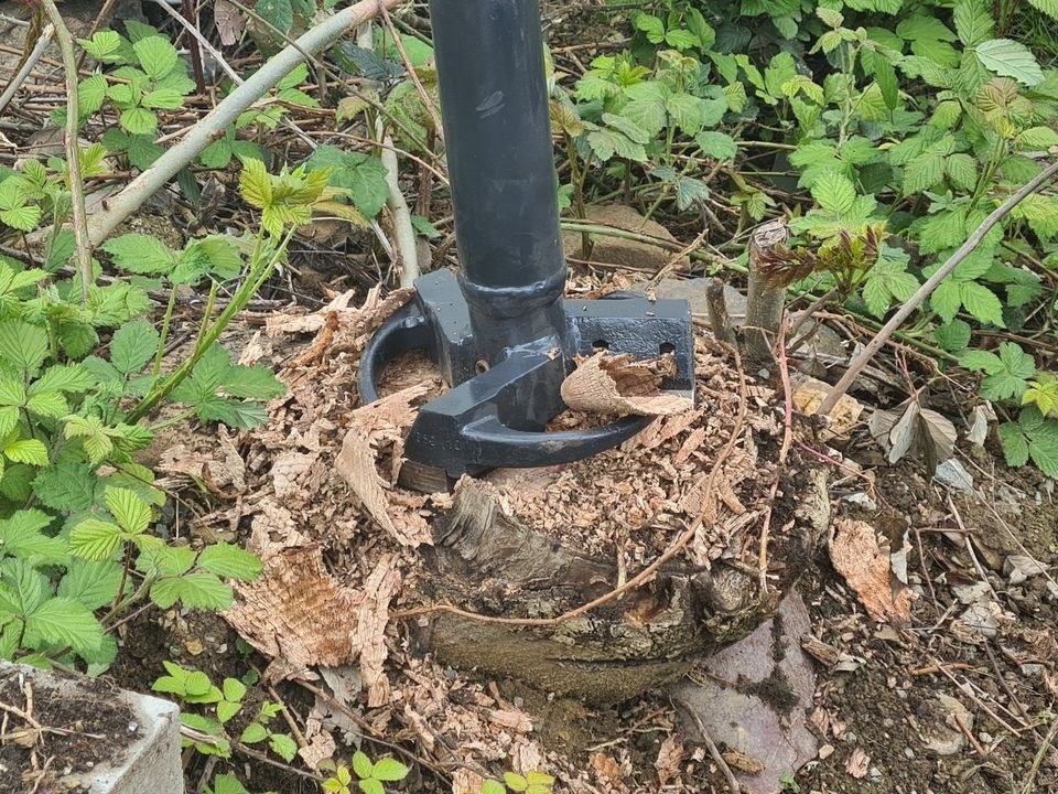 Baumstumpffräse Wurzelfräse 2,0 t mieten bei Weilburger Maschinenpark – 3