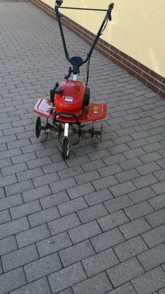 Motorhacke Gartenfräse Honda F 220 Fräse Garten mieten in Stavenhagen – 4