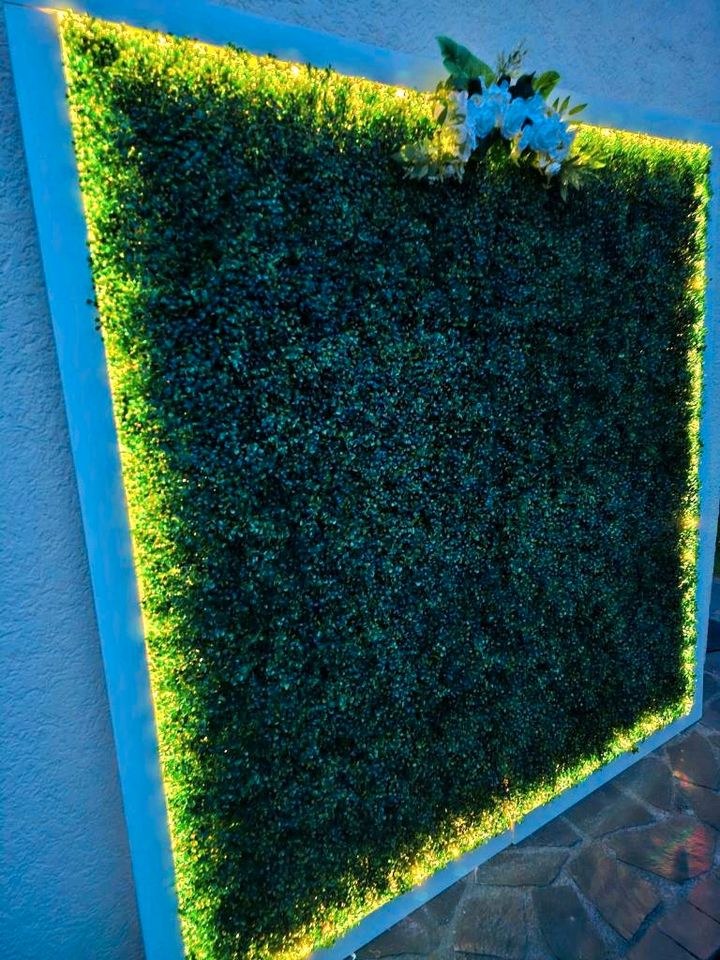 N* Fotowand beleuchtet Blumenwand mieten bei WOW-Event-de Klemm Silvio – 4