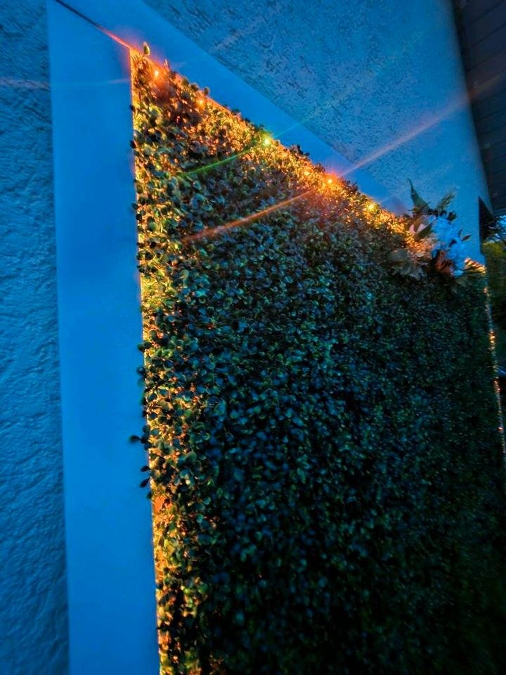 N* Fotowand beleuchtet Blumenwand mieten bei WOW-Event-de Klemm Silvio – 3