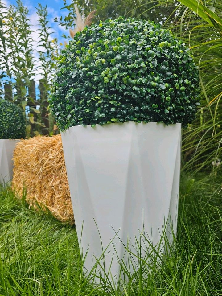 Buchsbaumkugel Deko mieten in Lechbruck – für die Hochzeit – 4