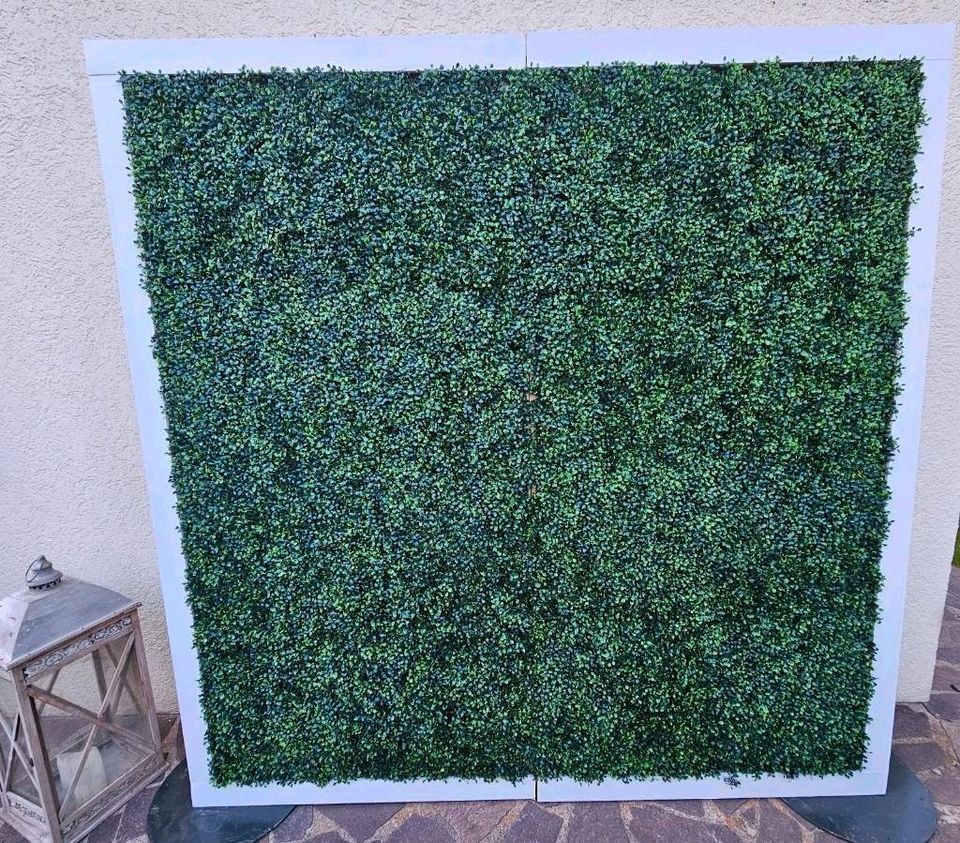 N* Fotowand beleuchtet Blumenwand mieten bei WOW-Event-de Klemm Silvio