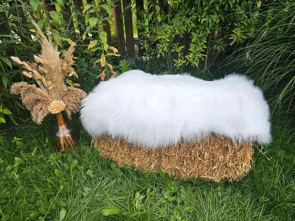 Sitzauflage Schafsfelle mieten in Lechbruck – Sitzplätze für alle – 3